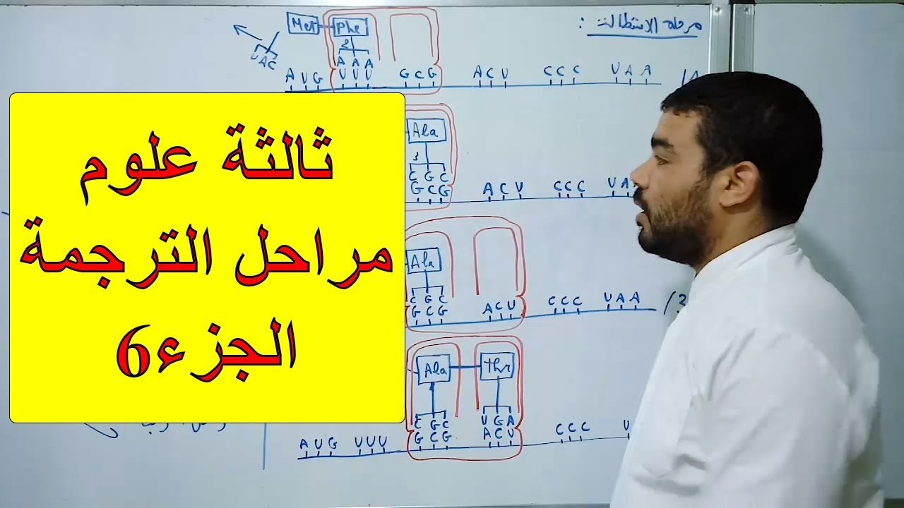 مراحل الترجمة (الجزء6)