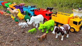 Wow!! The truck swerved while transporting cows, buffaloes, ducks, camels, elephants, bulls, squi...