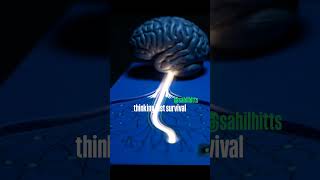 how neural system works ? plyomatric exercises principle and reflexes#boxing #neuroscience