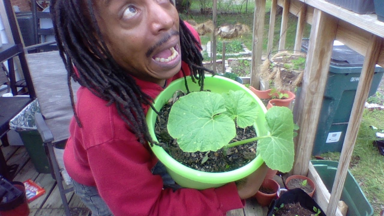 HOW TO PROTECT YOUR GARDEN FROM FROST! Free, Cheap & Easy Methods