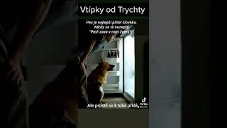 Nejlepší Přítel