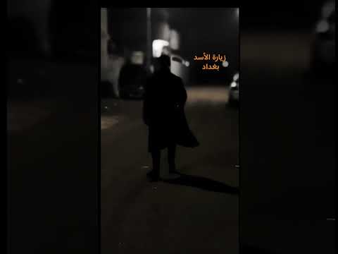 اجينه لباب المراد زيارة الأسد بغداد مسلم الوائلي 