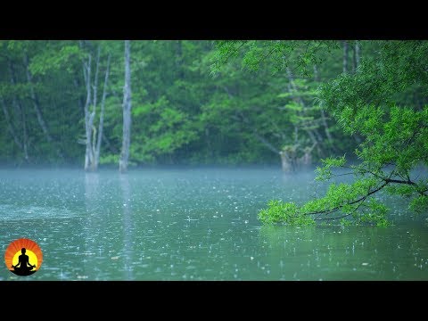 Nature Sounds, Stress Relief, Heavy Rain, Meditation, White Noise, Sleep Music, Relax, ☯3403