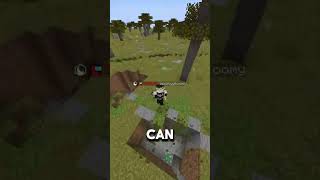 I GAVE THIS NOOB THE RAREST CUSTOM SHOVEL ON THE SERVER! #minecraft