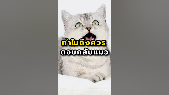 ทำไมเราถึงควรตอบกลับเสียงร้องของแมว #แมวน่ารัก #แมว #ทาสเเมว #thaicat #เลี้ยงแมว