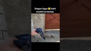 torab and sibtan vlog Mine zoo ma snake 🐍