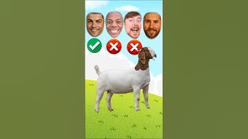 Ronaldo Vs Mr beast Vs Messi Guess Who Owns What? #ronaldo #mrbeast #messi #shorts
