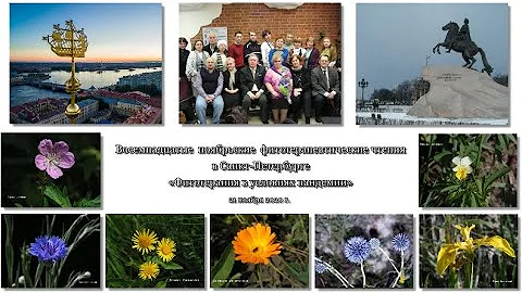 Куркин В.А. «Современная классификация фармакопейных растений»