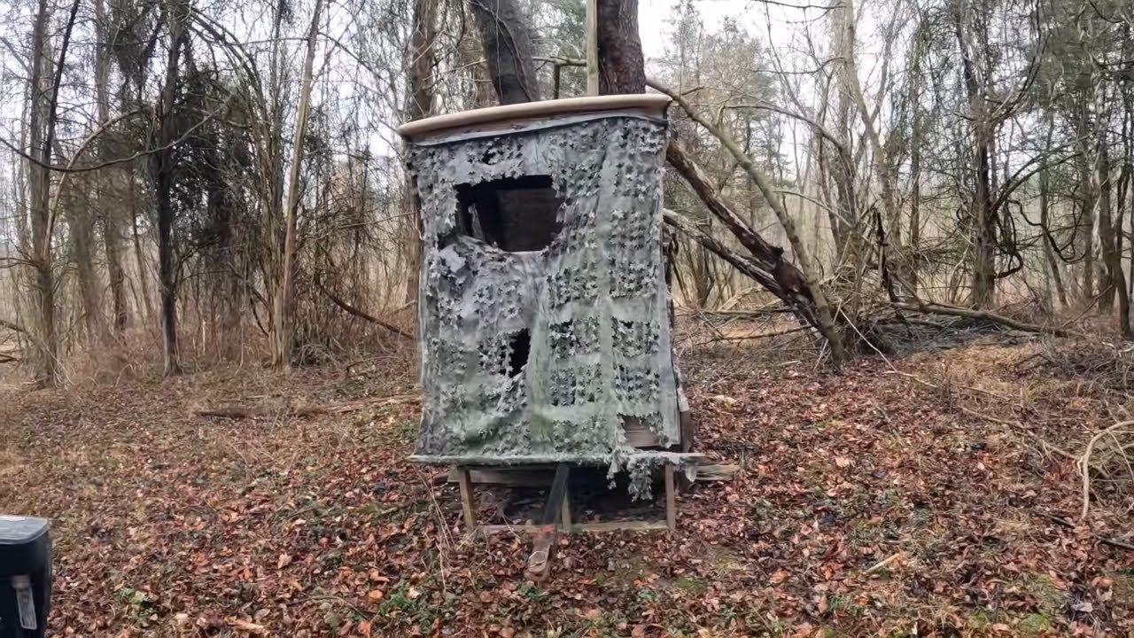 Searching And Finding Relics And Coins