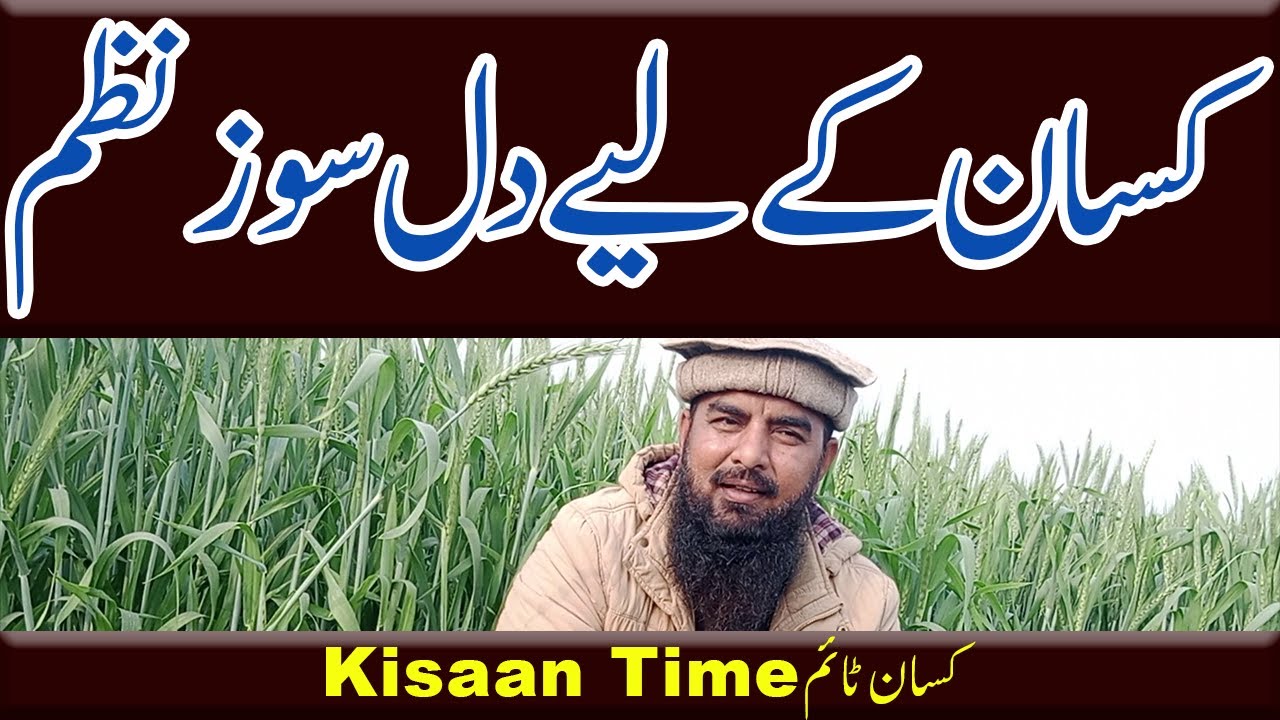 کسان ٹائم کی کسان پر ایک نظم kisan time poetry on farmers  Poem on farmer