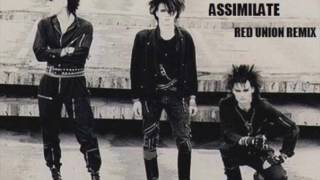 Skinny Puppy - Assimilate (Red Union Remix)