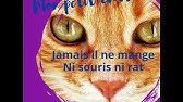 Mon Petit Chat Maurice Careme Youtube