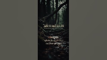 لا اله الا الله #تلاوة_خاشعة #اسلام #اكسبلور #حالات_واتساب #تلاوة_هادئة #دين #صباحالخير