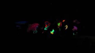 Black Light Show Year End 2016