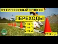 Переходы от атаки к обороне. 1v1 2v1 2v2. Упражнение на переключение внимания!!!