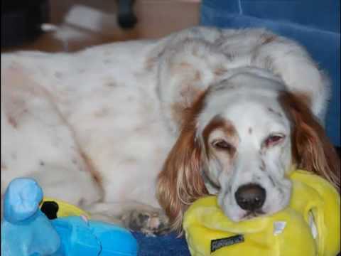 pedicure spa jet parts Christmas day.mp4