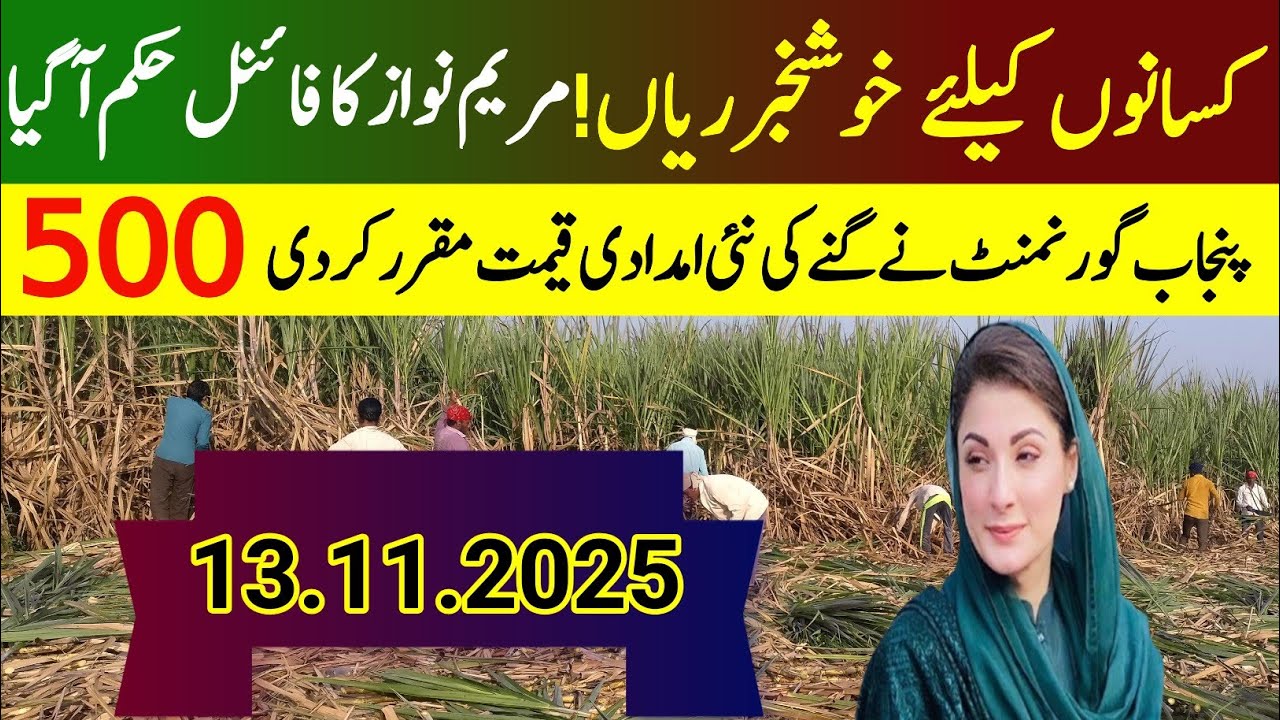 Sugarcane Rate in Pakistan 2025