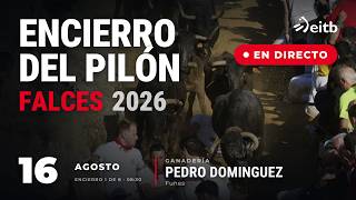 16/08/2026 🔴 EN DIRECTO 🔴 ENCIERRO DEL PILÓN DE FALCES