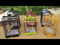Suara Burung Burung Kacer Konslet Gacor Terapi Mbagong Biar Fighter Eps Mp3 - Mp4 Download