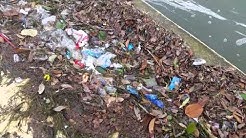 Trash in Corpus Christi Bay After a Rain