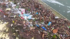 Trash in Corpus Christi Bay After a Rain