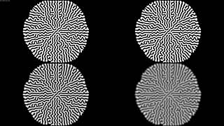 【Processing】Reaction Diffusion Algorithm using Gaussian Blur
