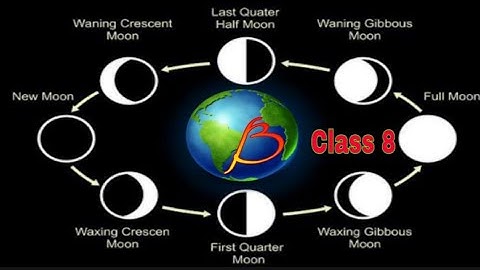 Class 8 Science Chapter 17 Star and Solar System || ଅଷ୍ଟମ ଶ୍ରେଣୀ ବିଜ୍ଞାନ ତାରା ଓ ସୌର ଜଗତ || Odia