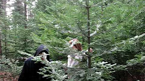 Zobrist Family Christmas Tree Hunt 2008