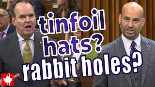 Tinfoil hats & rabbit holes? Liberals MOCK Conservatives over privacy concerns in Bill C-22