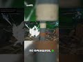 Новая большая игра по Dragon Ball анонсирована!
