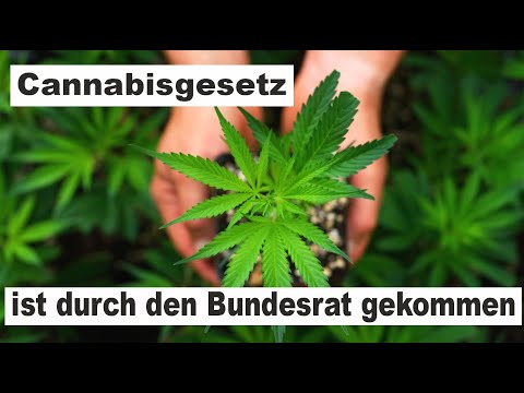 Cannabisgesetz ist durch den Bundesrat