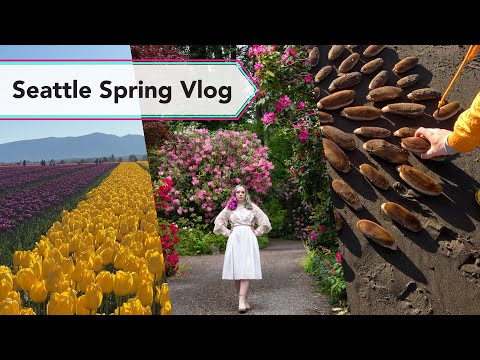 Tulip festival, Clamming & Dunn Gardens | Seattle Spring Travel Vlog