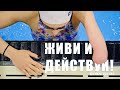 Живи и действуй (фильм третий)