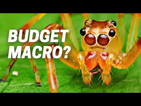 7ARTISANS 60mm F2.8 Mark II - Solid Budget Macro Lens