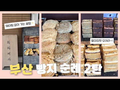 부산 빵지순례 vlog | 희와제과 할미 입맛 취향 저격✨ 웨이팅 없이 즐기는 꿀팁, 소보루 팥빵만 드시지 마세요!! (깨찰빵 러버의 소신발언)