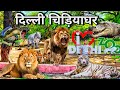    delhi chidiyaghar  delhi zoo   national zoological park vlog zoo