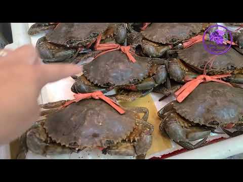 Đi Chợ Với Sương Cả Nhà Ơi. Chợ ở Quincy MA Có Gì? Let's Go Groceries Shopping With Me My Friends.