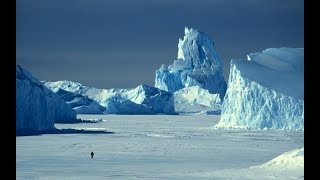 Видео Глобальное потепление планеты Пик ледникового периода Катастрофические последствия Серьёзная угроза (автор: Black Phoenix Документальные факты Дикие Животные)