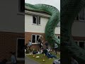 Big anaconda snake🐍#snake #shortsfeed #viral #trending #shorts