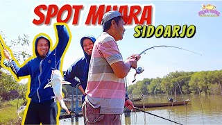 NEKAD !!! Rombongan pemancing mancing di spot gratisan muara #sidoarjo