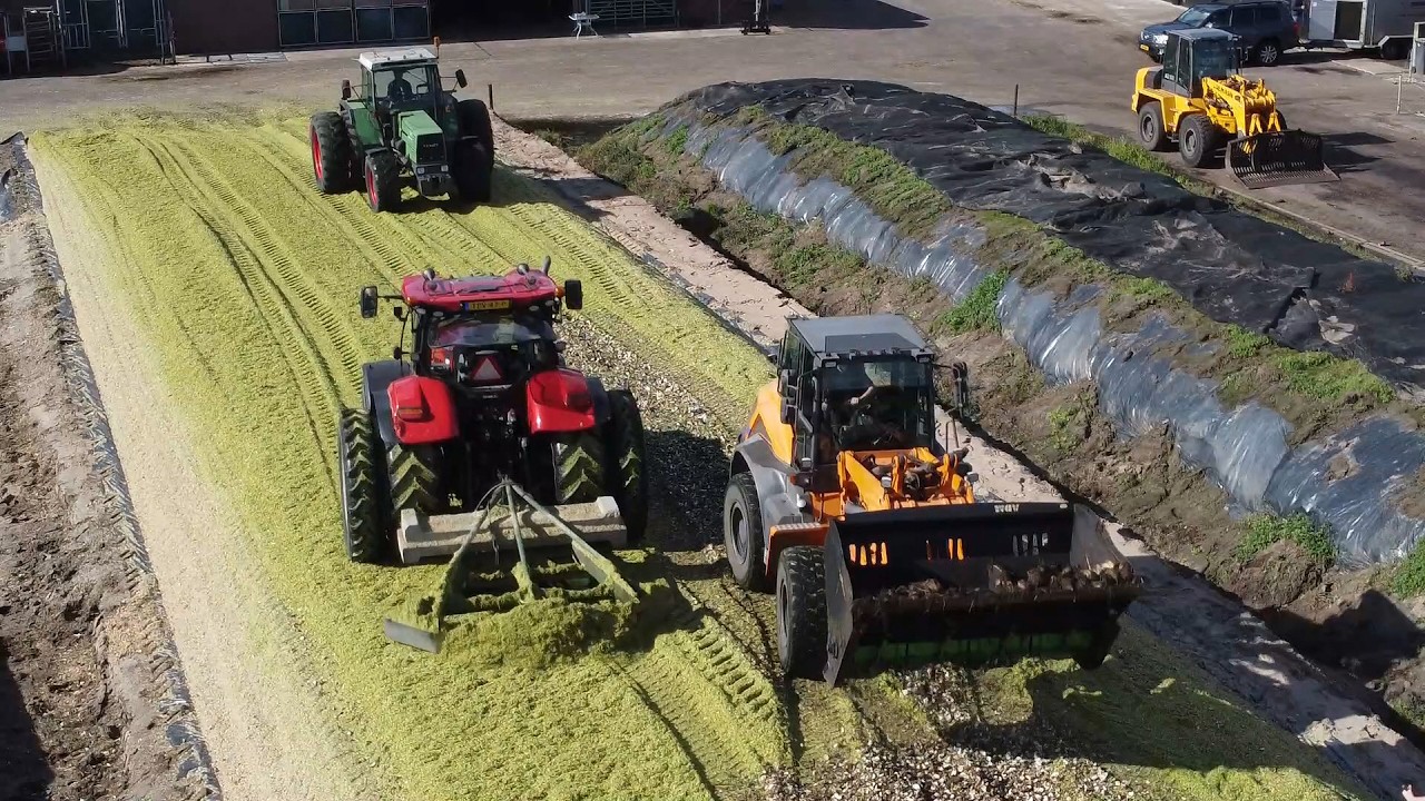 Wesselink corn silage