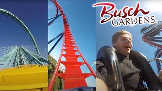 A Thrilling & Fun-Filled Day at Busch Gardens Tampa With No Lines! (Part 2)