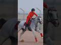 Watch Her Master This Horse 🐎 #HorseRiding #AnimalLover #Shorts