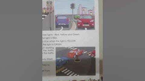 Standard 2 EVS Lesson 2.4 Safety First