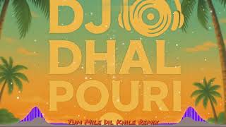 Tum Mile Dil Khile Remix - DJ Dhal Pouri