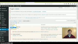 How to update your wordpress plugins in bulk