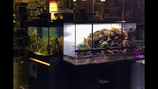 Aquariums Eheim Tropica Et Paludarium Cest Le Carré Aquascaping À Truffaut Plaisir