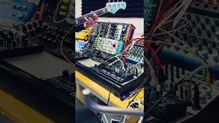 Behringer SURGES - Eurorack Module on ModularGrid