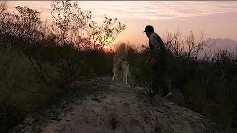 ya haca falta una caminata