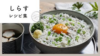 【しらすレシピ集】定番しらす丼だけじゃない！副菜やおつまみにもアレンジ♪